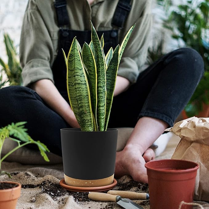 QCQHDU 8 inch Plant Pot, 2 Pack Planters - Image 6