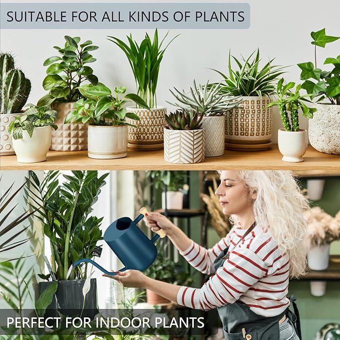 Watering Can Indoor Plants, 35oz Small Stainless Steel Metal Watering Can - Image 5