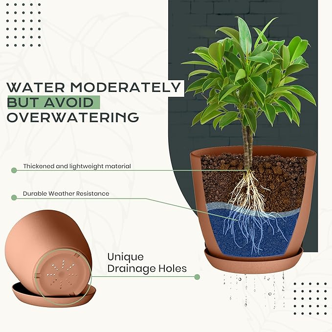 Utopia Home - Plant Pots Indoor - 7/6.6/6/5.3/4.8 Inches Home Decor Flower Pots - Image 3