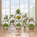 Tikea - Hexagonal Plant Stand Indoor Outdoor Large 11 Tiered Wooden Plant Shelf by Tikea