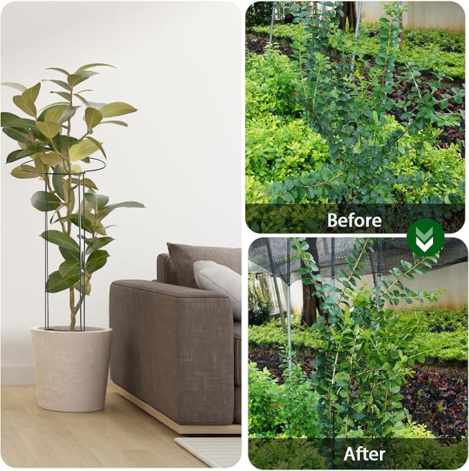 32 inch Plant Support Stakes, 10 Pack Half Round Metal Garden Plant Stake - Image 6
