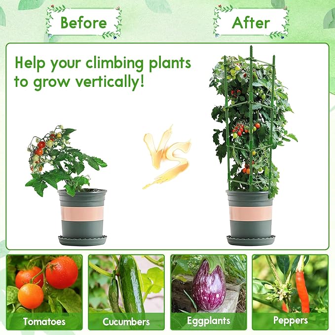 Riare 4 Pack 5.2 FT Tomato Cages - Image 6