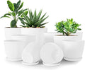 Utopia Home - Plant Pots Indoor - 7/6.6/6/5.3/4.8 Inches Flower Pots by UTOPIAHOME