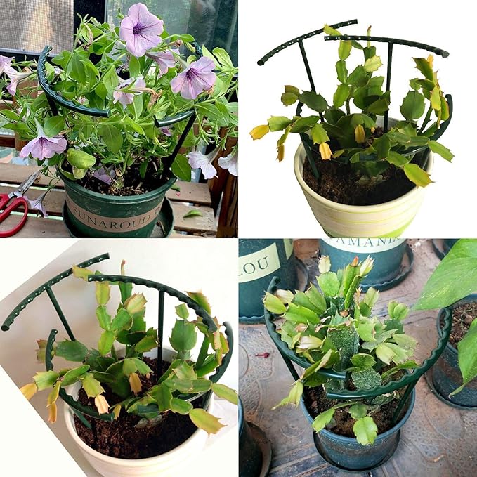 14Pcs Plant Support Stake Half Round Plant Support Ring Garden Flower Support - Image 5