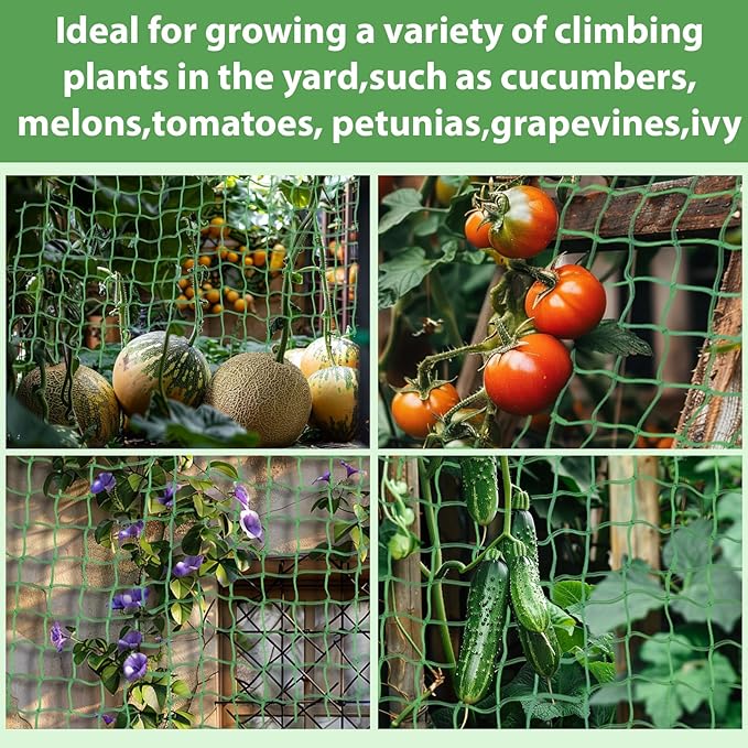 Trellis Netting For Climbing Plants - Image 6