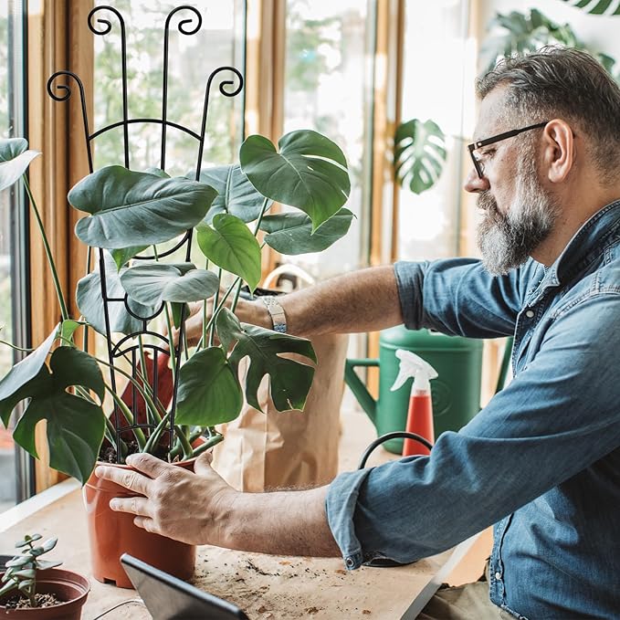 32.6in Monstera Plant Support Stakes - Image 7