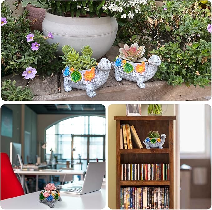 Turtle Succulent Planter, Resin Material, Indoor/Outdoor Use, Cute Decor - Image 6