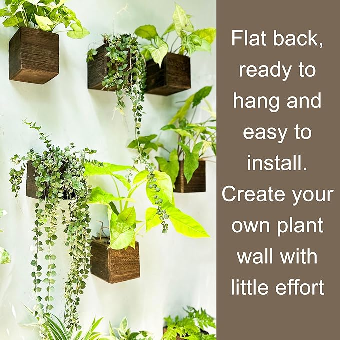 LaLaGreen Wood Planter Boxes for Plants Small Square Wall Mounted Planters for - Image 5