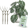 Stackable Plant Support Stakes, Indoor & Outdoor Houseplant Stem Support by TwigsGardenAccessories