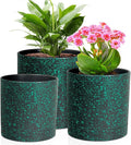6/5/4 inch Plant Pots, 3 Pack Cylinder Flower Pots by Meowell