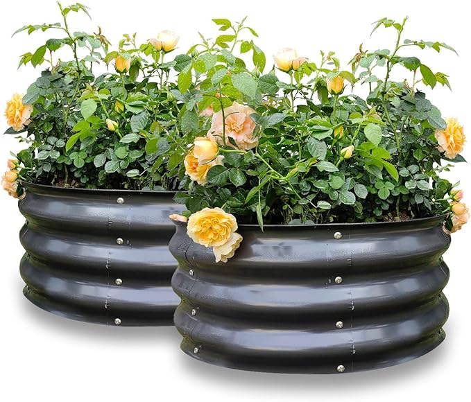 GARDMAX 2 Pack 2x2x1FT Galvanized Round Raised Garden Bed Kit, Metal Planter by ChooseGardmaxforbetterlife