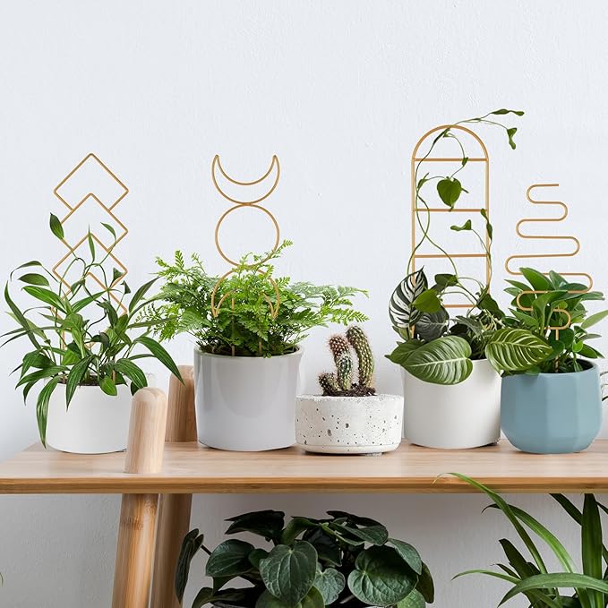 Indoor Plant Trellis for Potted Plants, 16inch Gold Small Trellis for Climbing - Image 7