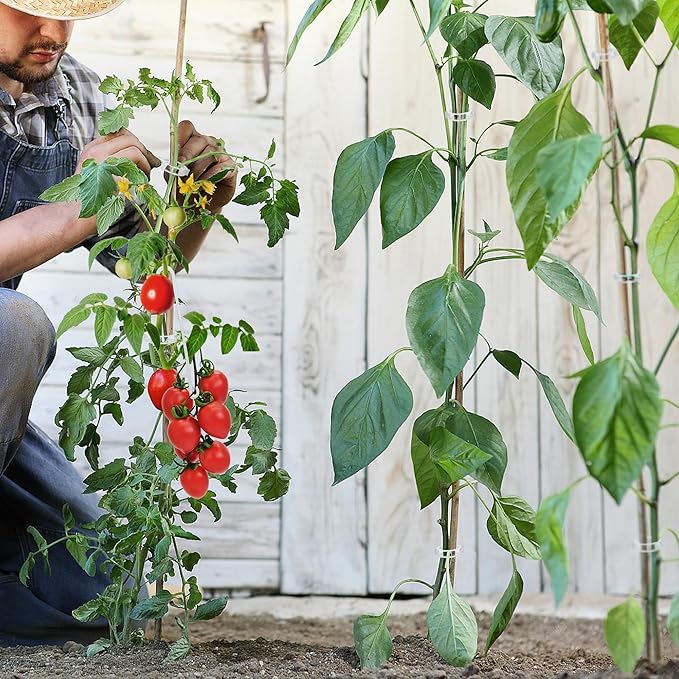 250 Pcs Tomato Clips, Plant Support Clips and J Tomato Hooks, Plastic Trellis - Image 6