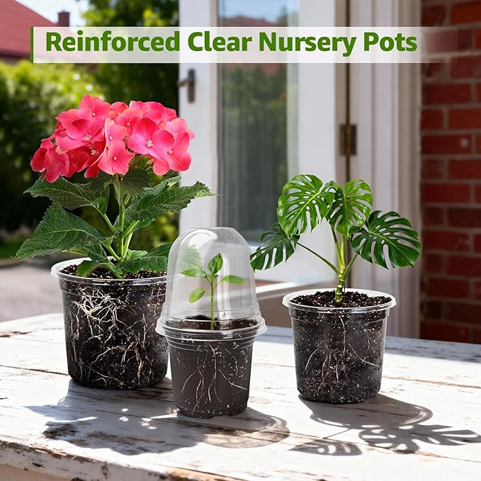 MIXC Clear Nursery Pots with Humidity Domes, 5/4/3.5 Inch Reinforced - Image 8