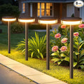 LETMY Solar Pathway Lights Outdoor, 6 Pack 2X Brighter Solar Lights Outdoor by Letmy