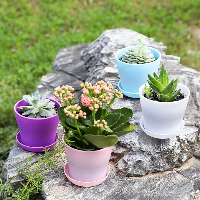 TDHDIKE 10 Pcs Plastic Planters Indoor Flower Plant Pots, Mini Flower Seedlings - Image 7
