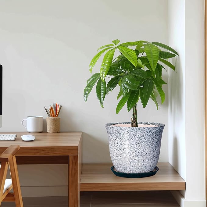 Ceramic Planter - Image 7
