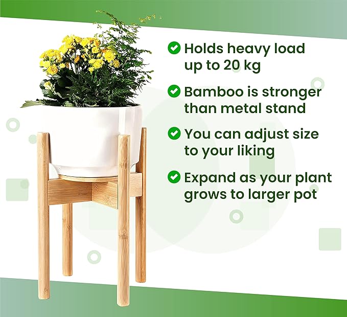 ZPirates Plant Stand for Indoor - Image 7