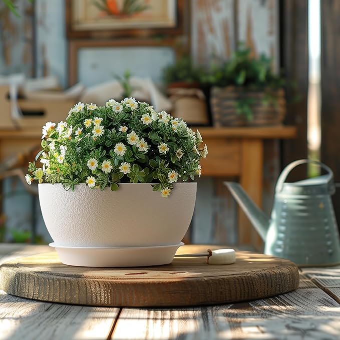 T4U 8 Inch Plant Pots, Plastic Planters - Image 6