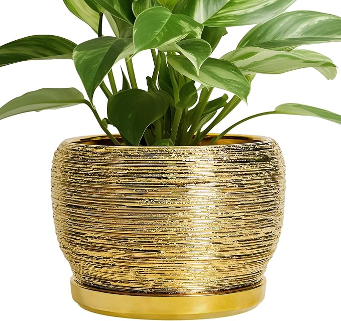 SQOWL Ceramic Flower Pot by SQOWL