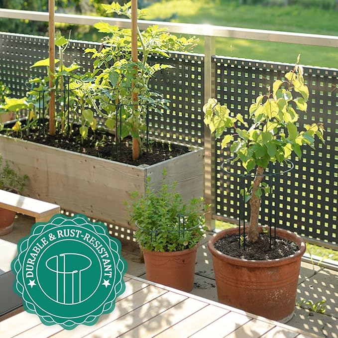 16 Pack 24 inch Plant Support Stakes, Half Round Peony Cage and Support - Image 5