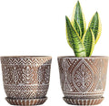 Gepege 6 Inch Ceramic Planter, Plant Pot by Gepege