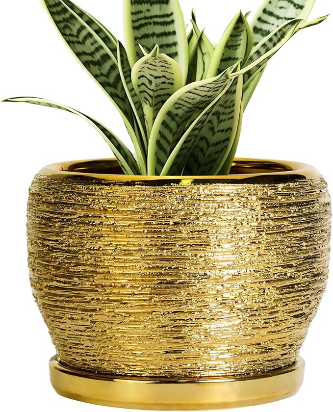 SQOWL Ceramic Planter by SQOWL