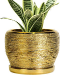 SQOWL Ceramic Planter by SQOWL
