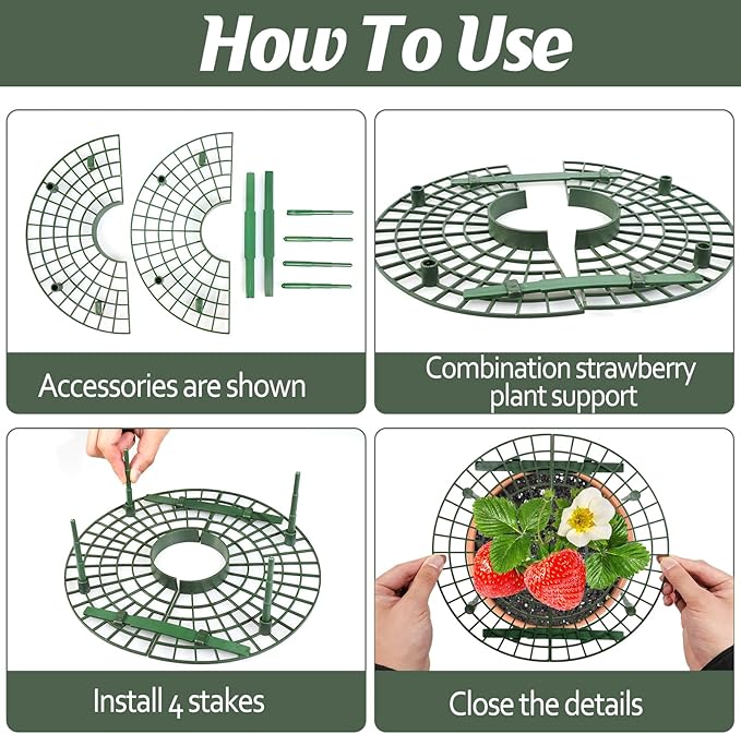 6 Sets Strawberry Plant Support - Image 3