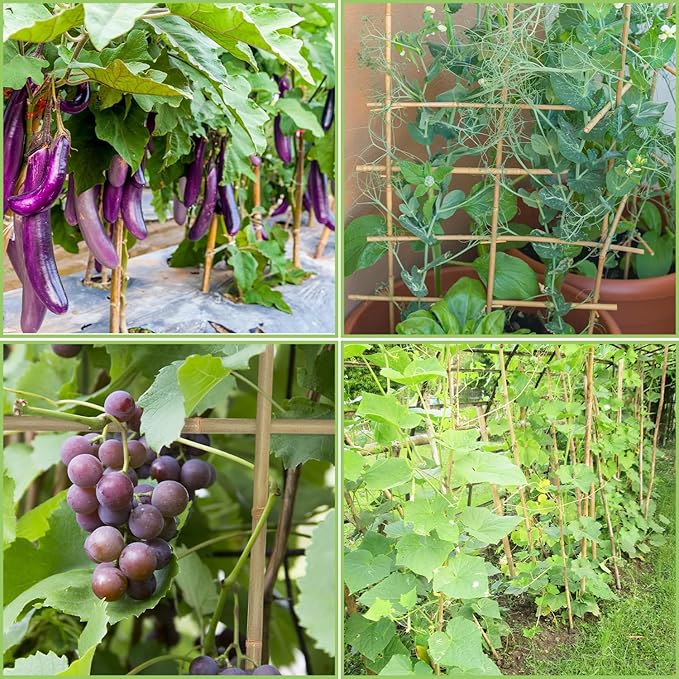 Plant Stakes, 4FT Longer Sturdy Natural Bamboo Garden Stakes, GAGINANG 25Pcs - Image 6