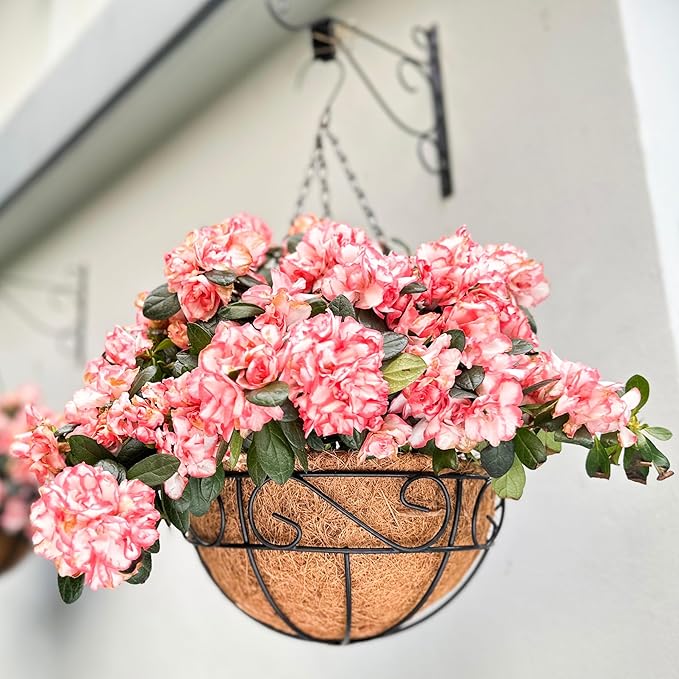 LaLaGreen Hanging Planter for Outdoor Plants Black Hanging Baskets - Image 9