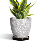 Ceramic Plant Pots by EPFamily