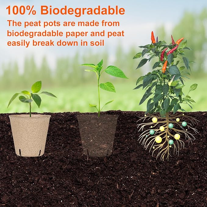 120 Packs 3.15 Inch Peat Pots, Biodegradable Pots - Image 6