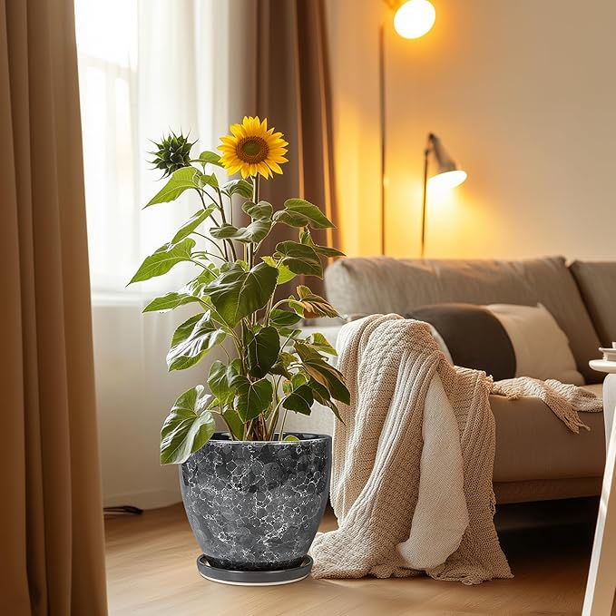 Ceramic Pots for Plants - Image 2