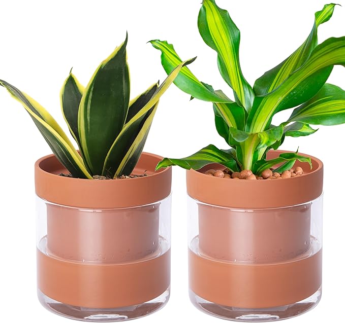 Phoenix Vine 6 Inch Self Watering Planter Pot, Terracotta Clay Pot by Phoenix+Vine