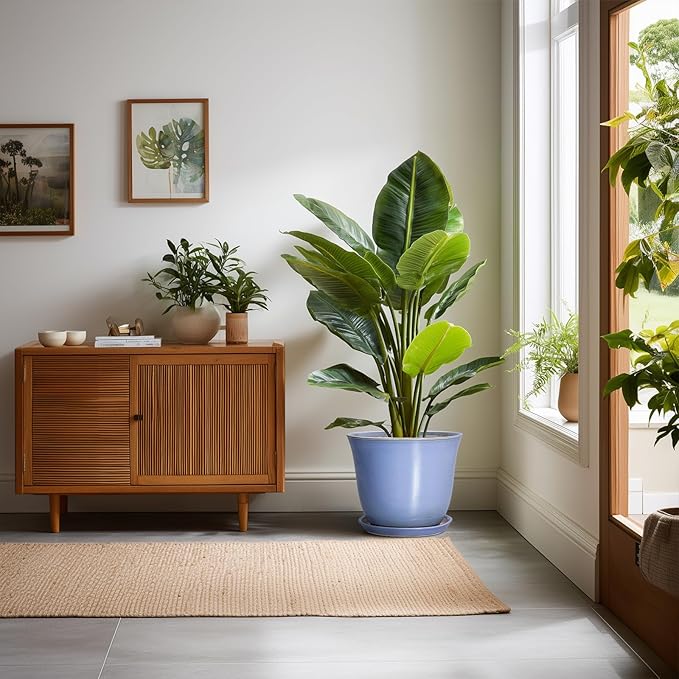 Ceramic Plant Pots - Image 3
