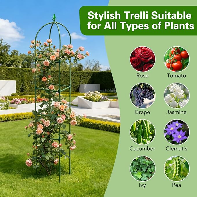 2 Pack Garden Obelisk Trellis for Climbing Plants, Tower Potted Cages Plant - Image 5
