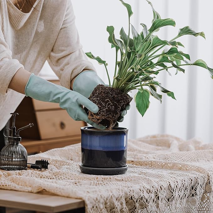 5.8 Inch Plant Pot: Ceramic Planter - Image 7