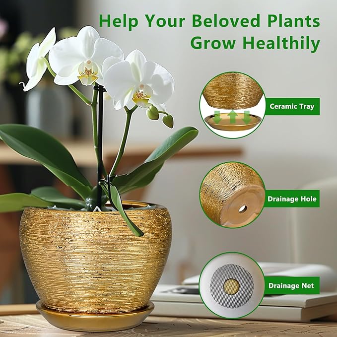 Indoor Plant Pot 6 Inch - Image 6