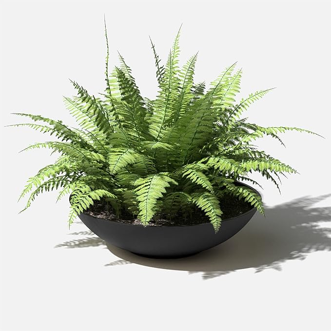 Veradek Mason Series Lane Bowl Planter| - Image 7