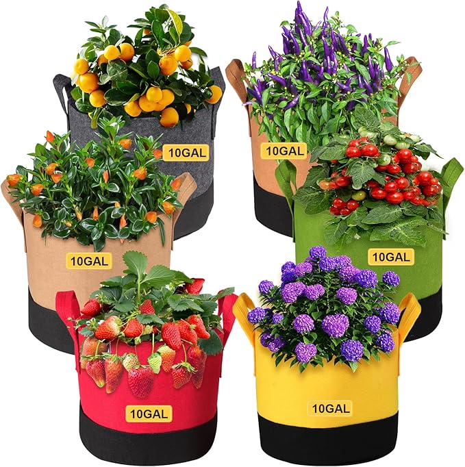 Grow Bags 10 Gallon, 6 Pack Fabric Plant Pots by SouilGoal