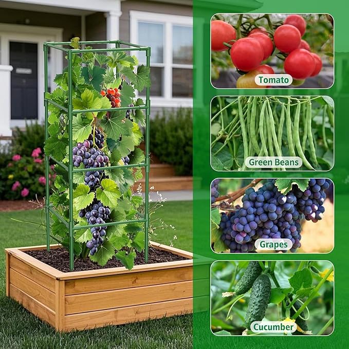 3 Pack Square Tomato Cages for Garden, 42 Inches Heavy Duty Metal Tomatoes - Image 5