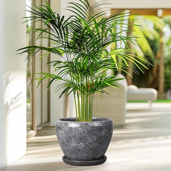8 Inch Plant Pot - Image 6