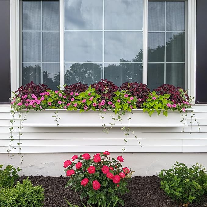 Mayne Yorkshire 7ft Window Box - Image 4