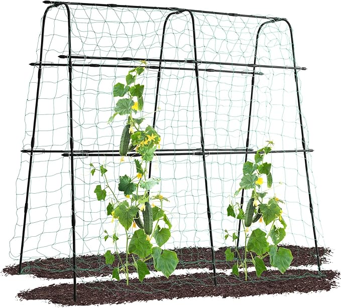 Lalahoni Cucumber Trellis, 5.3x5.3 Feet Metal Garden Arch Plant Support by Thereasonyoulovegardening