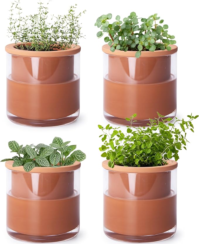 Phoenix Vine 4 Inch Self Watering Plants Pot, Design Terracotta Pot by Phoenix+Vine