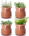Phoenix Vine 4 Inch Self Watering Plants Pot, Design Terracotta Pot by Phoenix+Vine