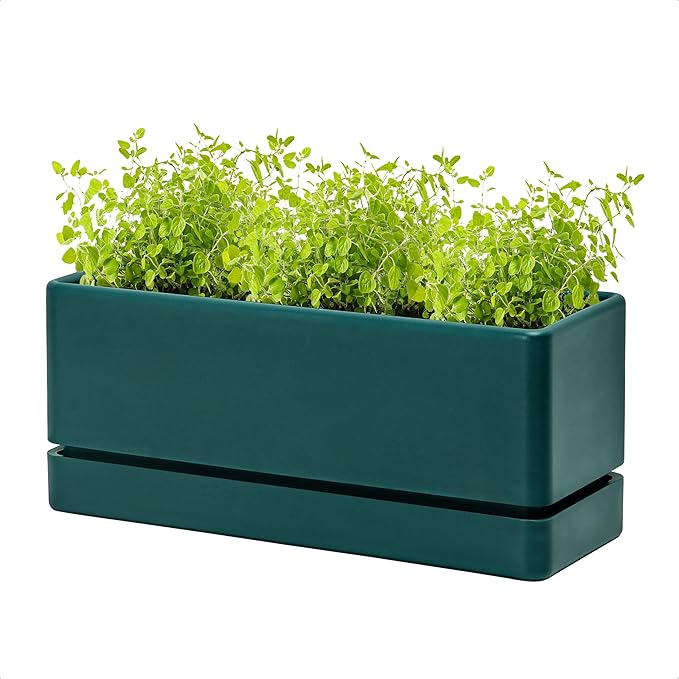 D'vine Dev 12 Inch Window Box Planter, Rectangle Plastic Herb Planter by DvineDevPlanterPotsandStand