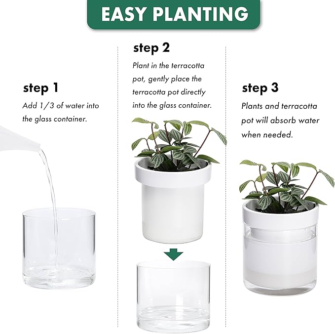 Phoenix Vine 6 Inch 4 Inch Self Watering Planter - Image 7