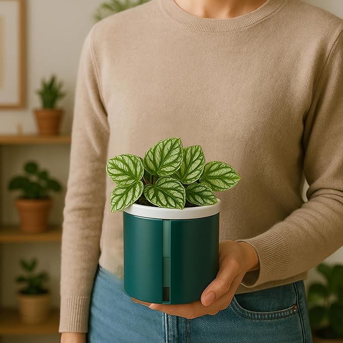D'vine Dev 4 Inch Design Self Watering Planter - Image 7